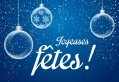 Bonnes fêtes de fin d'année à Toutes et à Tous!!